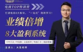 大圣老师【电商TOP特训营】业绩倍增·8大盈利系统 百度网盘