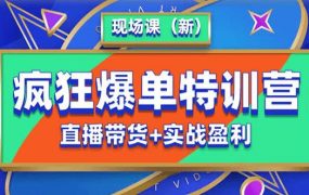 抖音短视频疯狂爆单特训营现场课（新）直播带货+实战案例 百度网盘