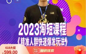 文涛·2023淘短视频课程，精准人群快速爆发玩法 百度网盘