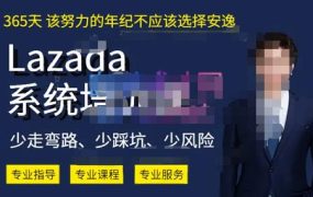 熊猫老师·2023年Lazada系统课程（跨境店+本土店），一套能解决实际问题的Lazada系统课程 百度网盘