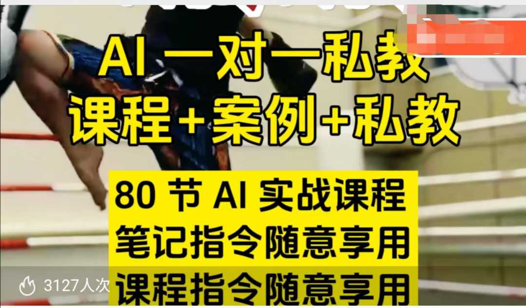 六叔六叔 365天AI指令实战私教课 百度网盘