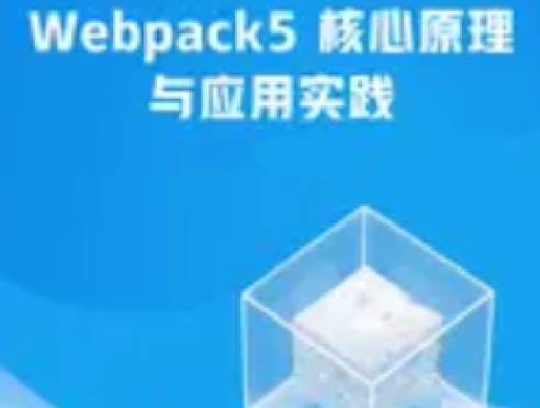 Webpack5核心原理与应用实践 百度网盘
