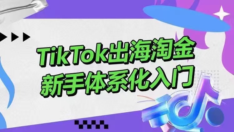 大彬TikTok出海淘金新手体系化入门课程 百度网盘