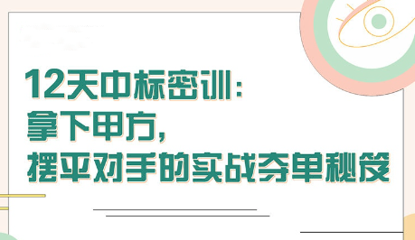 【张金洋】12天中标密训—拿下大单百度网盘