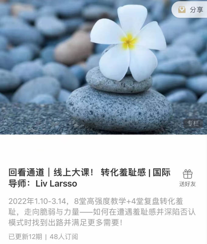 转化羞耻感 _ 国际导师：Liv Larsso百度网盘