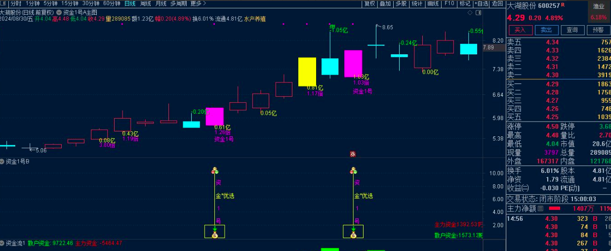 叶梵宸指标2024资金1号【每天盘中 主选①支】《无忧版》《K线追踪主散因果》