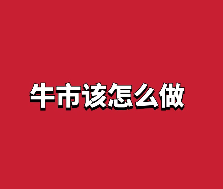 【无浊之隅】《牛市该怎么做？》PDF文档