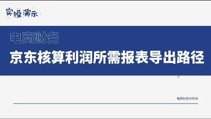 ​​​​​​​​​许哈哈·电商财务 京东对账实操课程