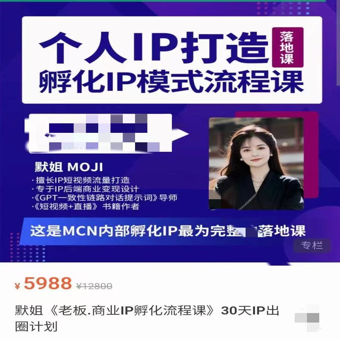 默姐·老板商业IP孵化流程课 (高阶班)