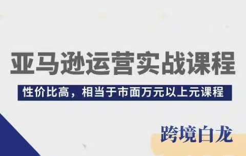 跨境白龙-亚马逊运营实战课程