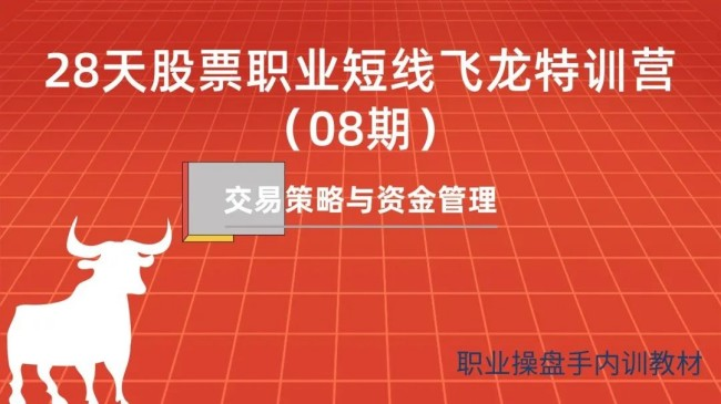 天智一飞《28天股票职业短线飞龙特训营08期》一飞金融