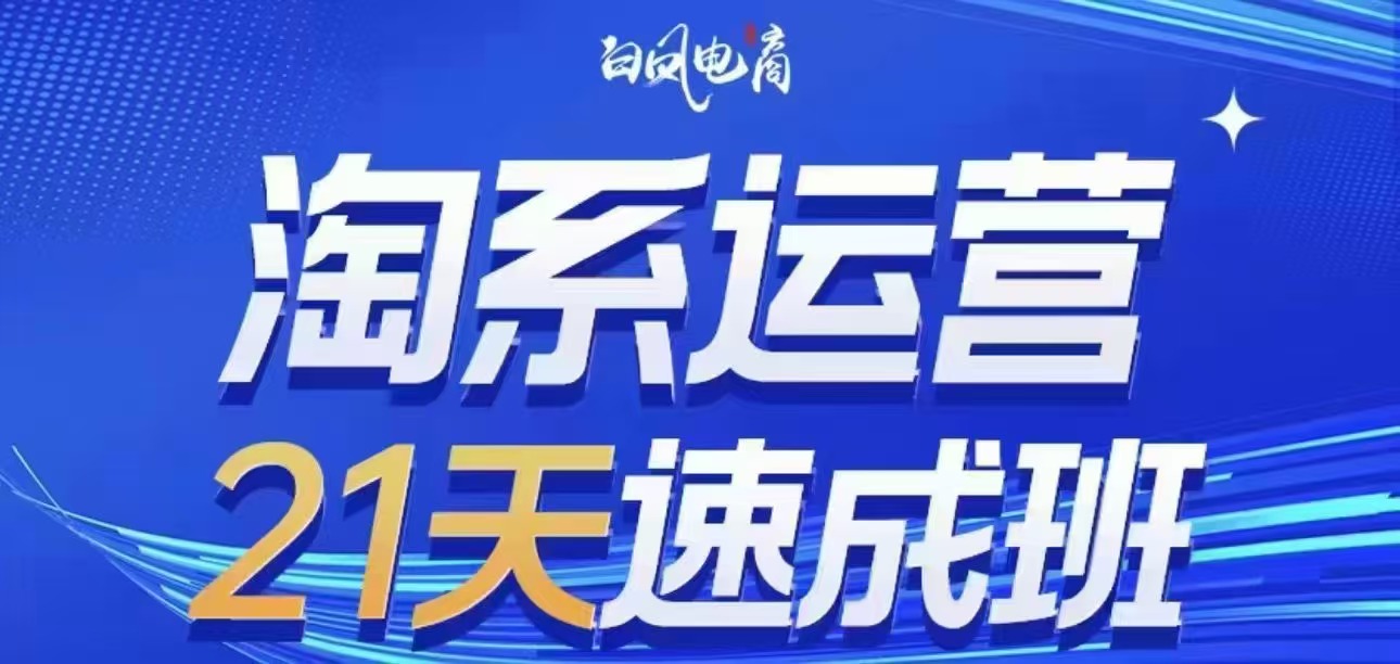 白凤电商-​​​​​​​淘系运营21天速成班35期