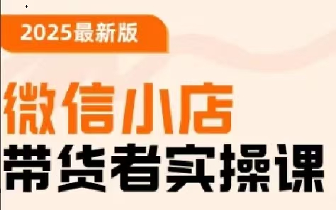 陈奶爸-2025最新版微信小店带货者实操课